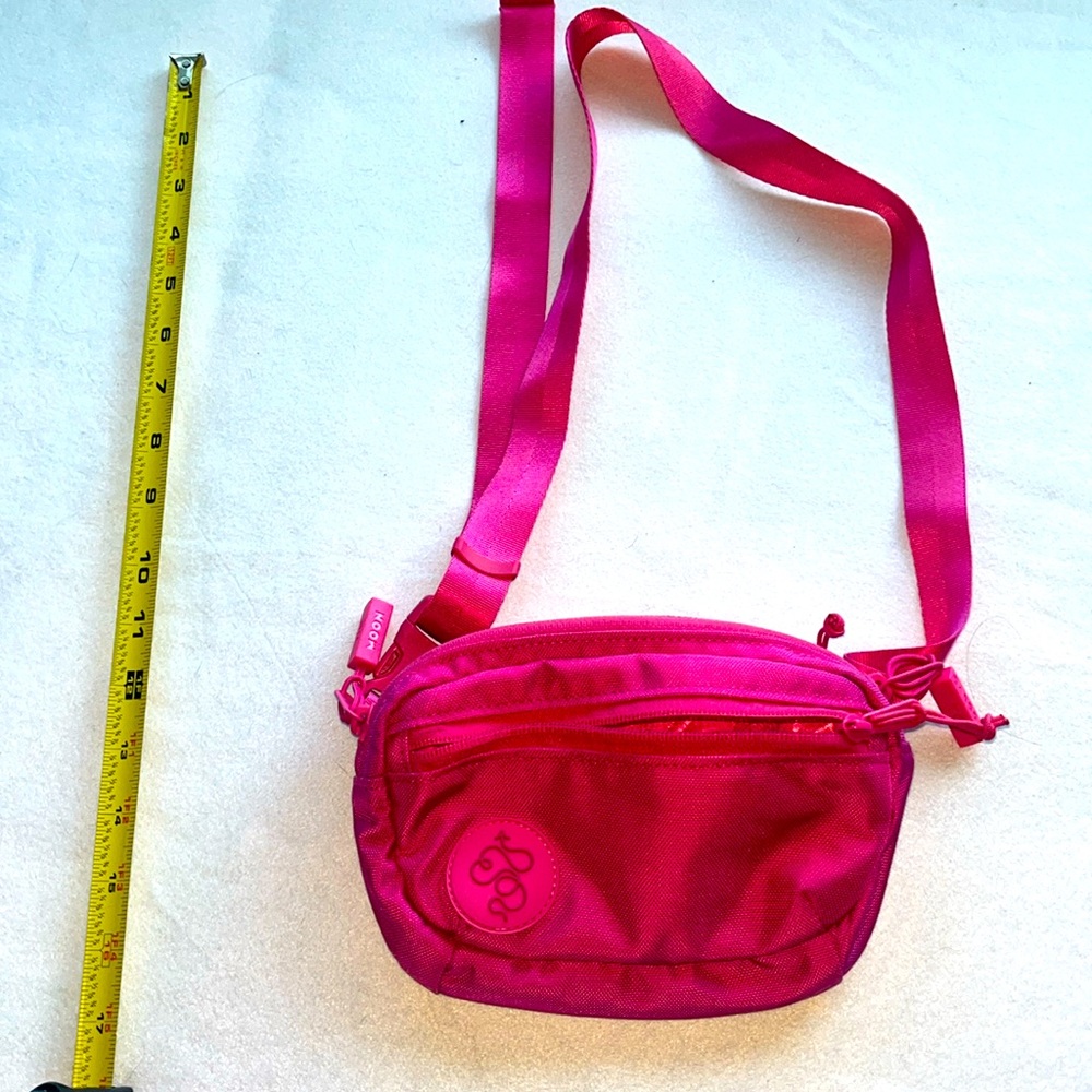 Baboon to the moon 3 L fannypack